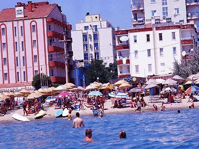 Sezer Ayvalı